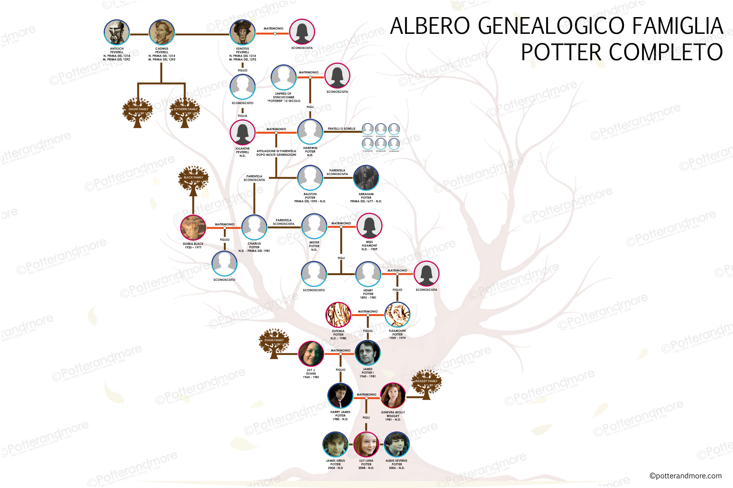 Albero Genealogico famiglia Potter