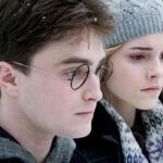 Harry Potter, cosa sono e quali sono le Sacre 28? Sono un punto cardine nel mondo del maghetto