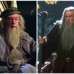 Harry Potter e Il Signore degli Anelli: perché Silente e Gandalf nei film sembrano la stessa persona?