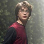 Harry Potter e il Calice di Fuoco: c'è un dettaglio nel finale che nessuno ha notato (VIDEO)